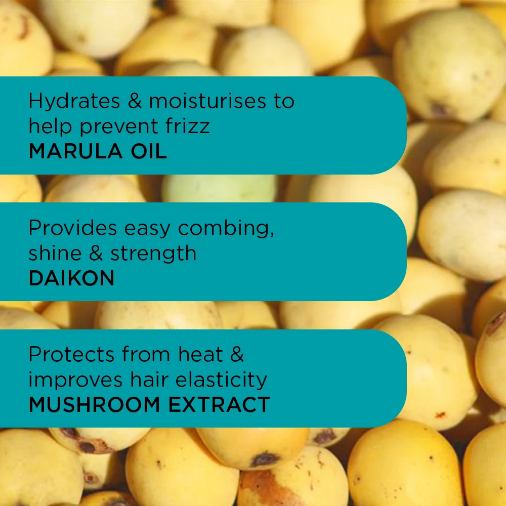 Anti-Frizz Starter Bundle - Image 6