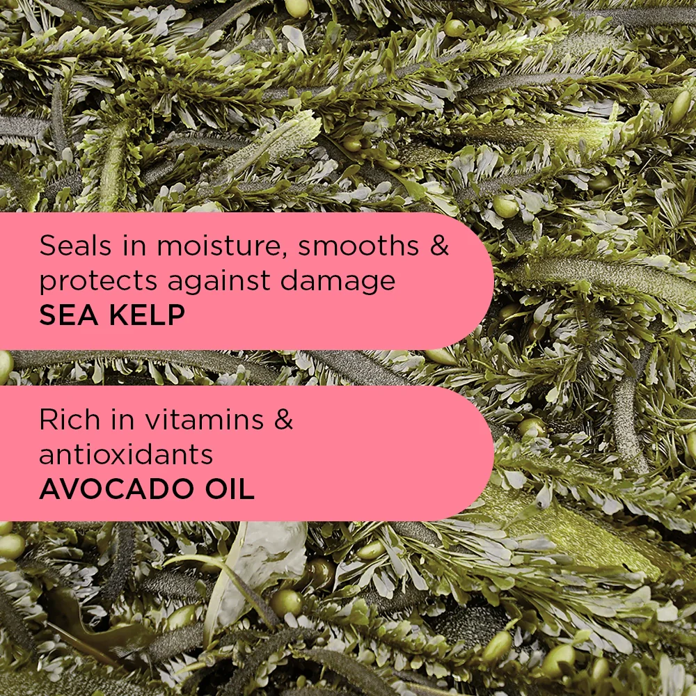 Curly Hair Starter Bundle - Image 5